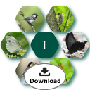 ABINC認証サイトパンフレットⅠ