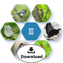 ABINC認証サイトパンフレットⅢ