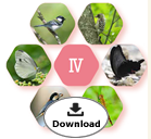 ABINC認証サイトパンフレットⅣ